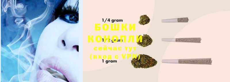 Бошки Шишки THC 21%  блэк спрут вход  Каргат 